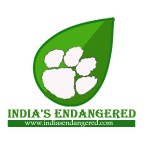 logo with website green