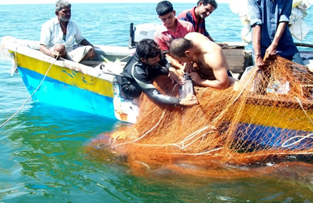 First Whale Shark Satellite tagged in India