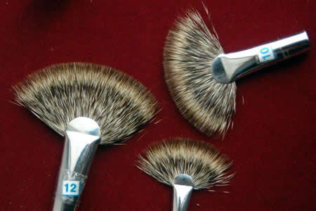 Beware! Your Paint Brush might be made from Mongoose Hair