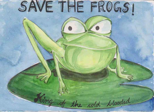 How You can Save Frogs