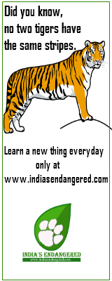 India’s Endangered – Web Journal on Endangered Species of India