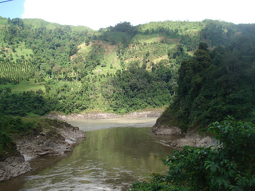 Namdapha National Park: Roar of the Wild - Outlook Traveller