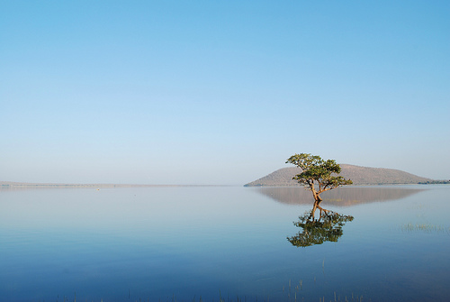 Image of the Day: Pakhal Lake, Andhra Pradesh