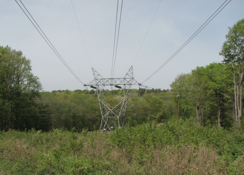 Proposed High-Tension Wire To Adversely Affect Wild Animals
