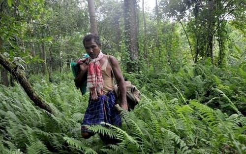 Watch: Forest Man, a short film on the Man who Made a Forest