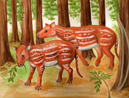 Common Ancestors of Horses and Rhinos Found in India