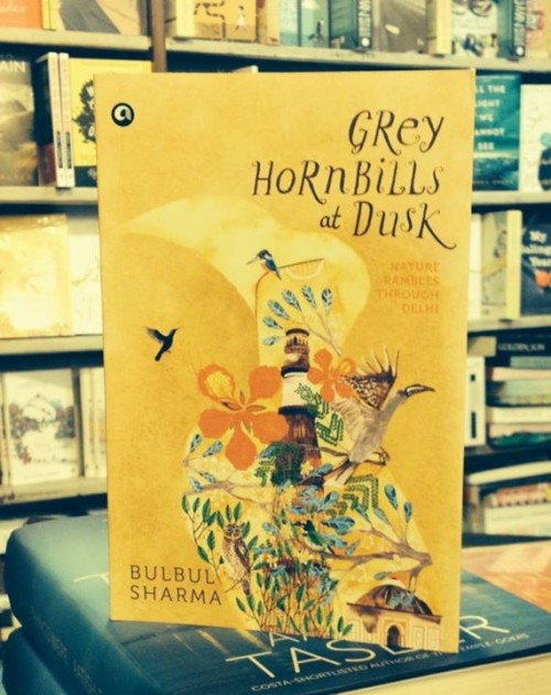 Grey Hornbills at Dusk- Book Review