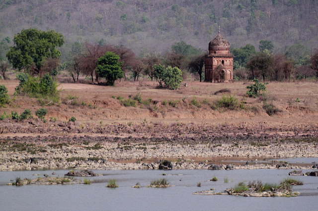How The Ken-Betwa Linking Project Might Lead To Loss Of Wildlife