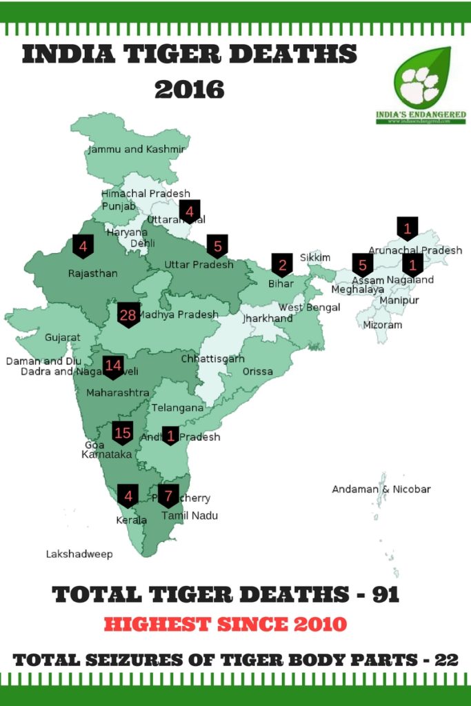 india-tiger-deaths-2016