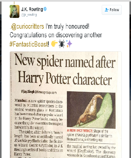 New spider species named after 'Harry Potter' sorting hat