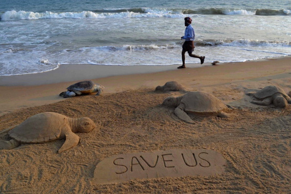 School Students Clean Beaches To Welcome Turtles For Their Annual Nesting Season