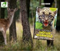 Book Review: The Secret Lives Of Indian Mammals