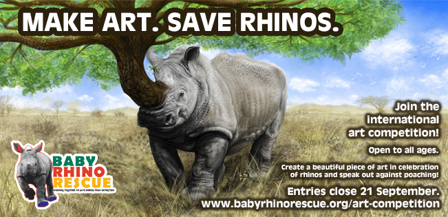 Here Is A Way To Help Save The Rhinos Through Art