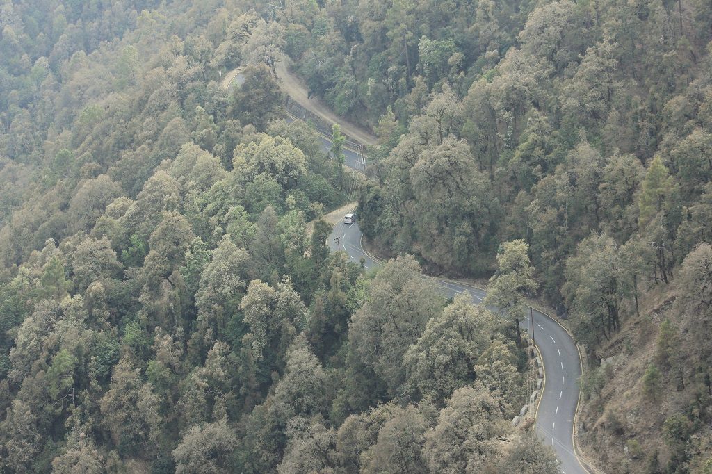 Supreme Court Stops Road Construction Through Rajaji Tiger Reserve