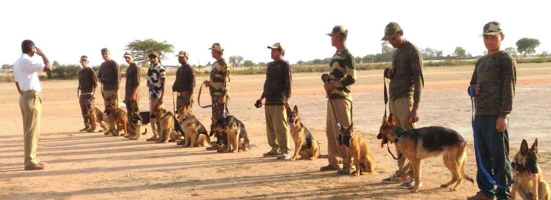 These Dogs are India’s Newest Wildlife Heroes