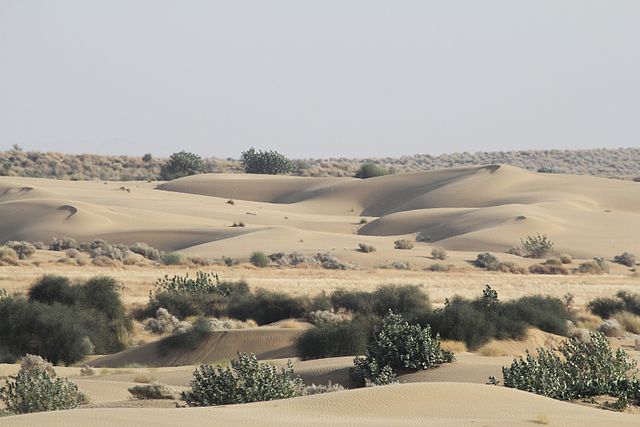 Desert National Park Gets App For Tracking Wildlife