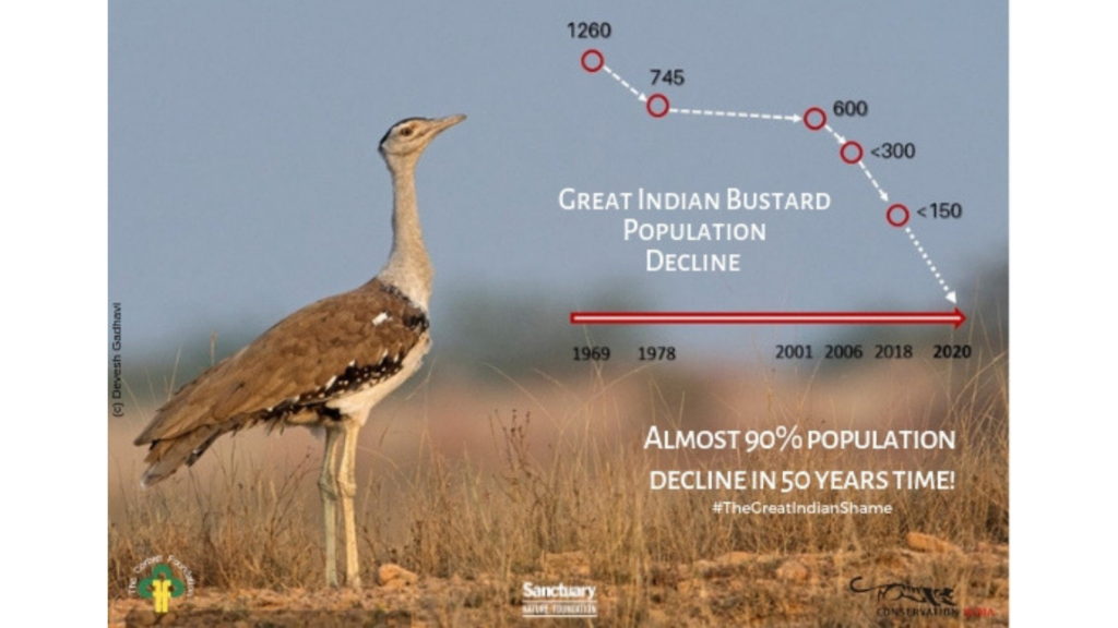 Population decline of Great Indian Bustard over the years
