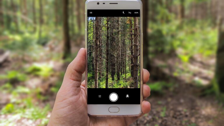 Phone in forest