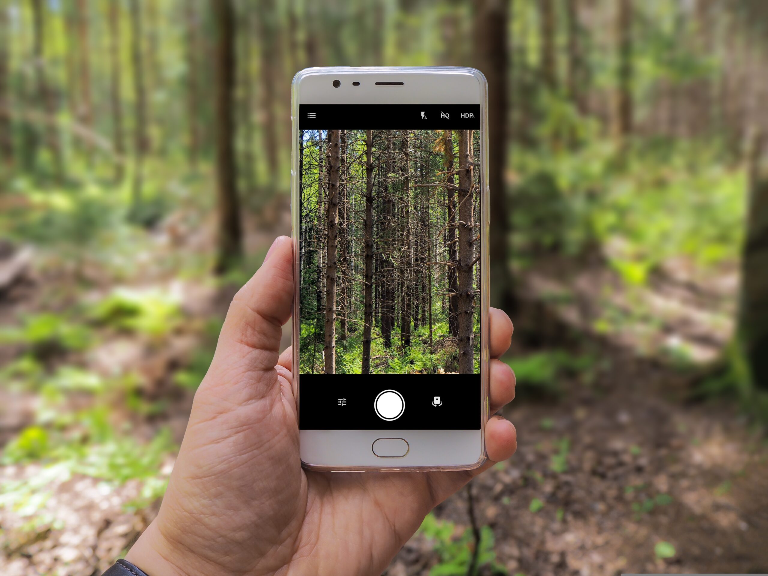 Phone in forest